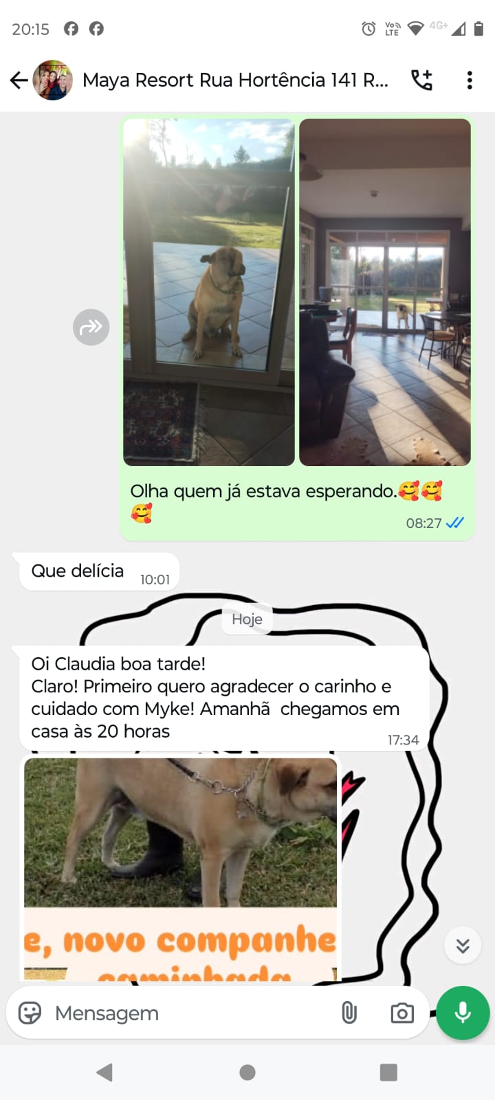 Imagem do WhatsApp de 2025-12-01 à(s) 17.08.14_810ba0d1