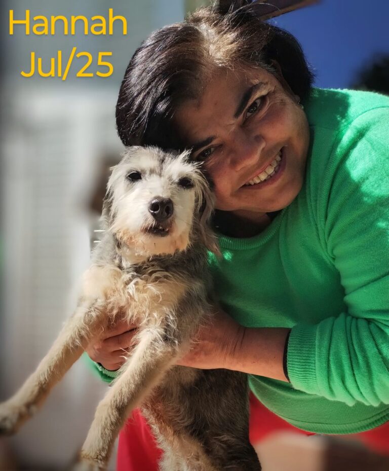 Imagem do WhatsApp de 2025-12-01 à(s) 17.10.03_b8220f6b