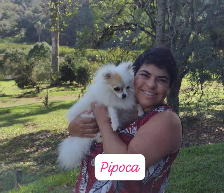 Imagem do WhatsApp de 2025-12-01 à(s) 17.12.31_9cb67130