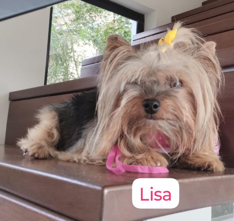 Imagem do WhatsApp de 2025-12-01 à(s) 17.12.32_02c12060