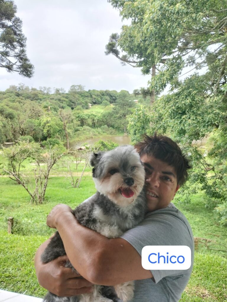 Imagem do WhatsApp de 2025-12-01 à(s) 17.12.32_2e5abd5a