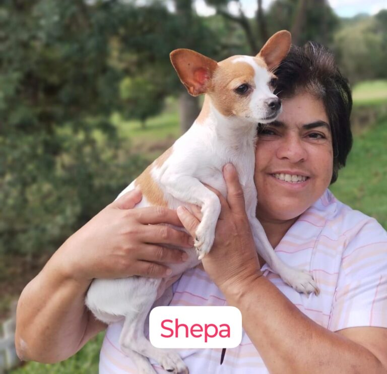 Imagem do WhatsApp de 2025-12-01 à(s) 17.12.32_716eaae0