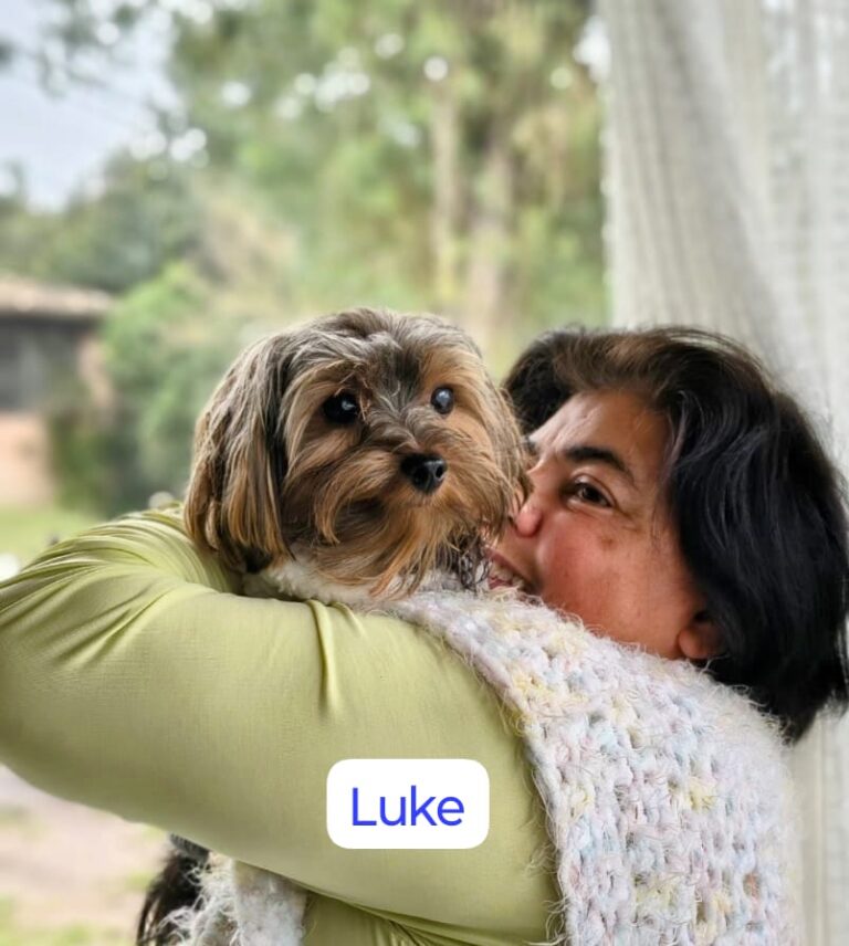 Imagem do WhatsApp de 2025-12-01 à(s) 17.12.32_955747d2