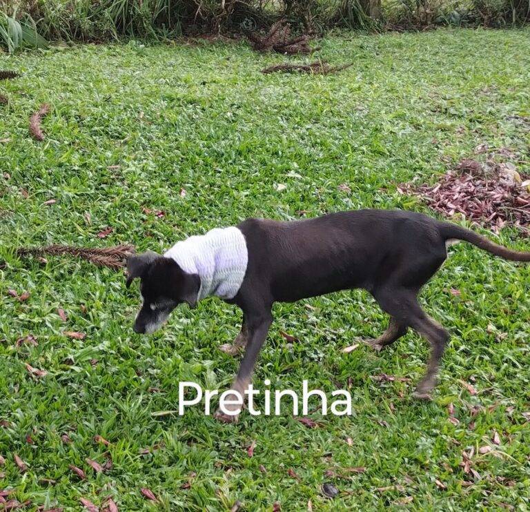 Imagem do WhatsApp de 2025-12-01 à(s) 17.12.33_4838e1f9