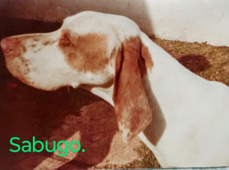 Imagem do WhatsApp de 2025-12-01 à(s) 18.16.04_0425b482