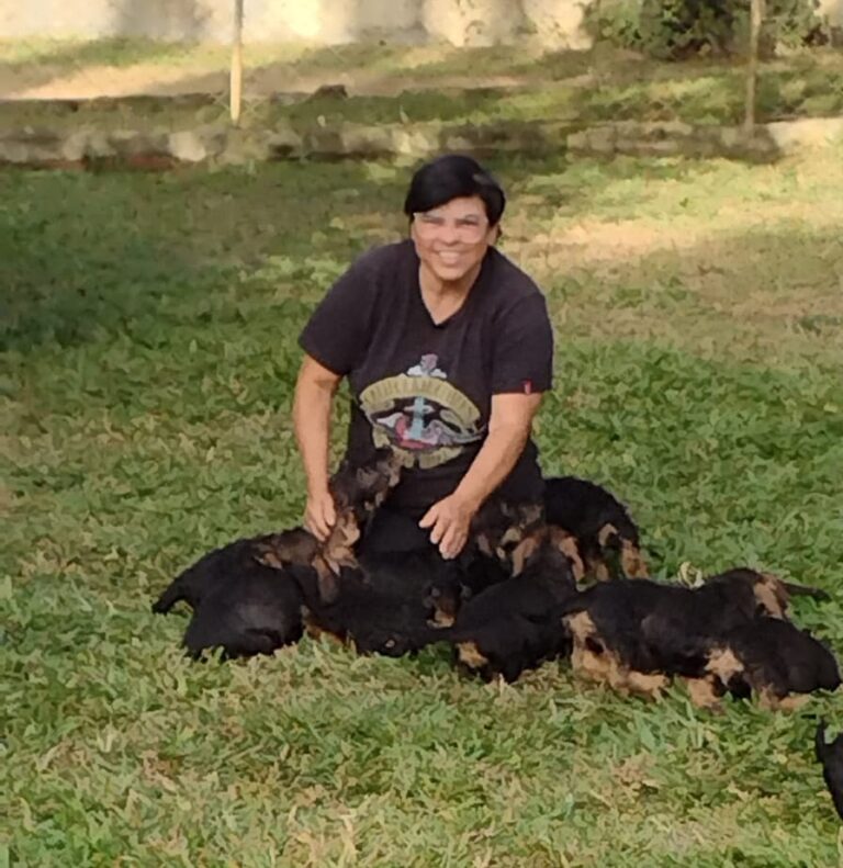 Imagem do WhatsApp de 2025-12-01 à(s) 18.22.17_1b002d05