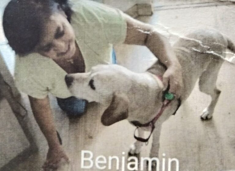 Imagem do WhatsApp de 2025-12-01 à(s) 18.27.08_06df0953