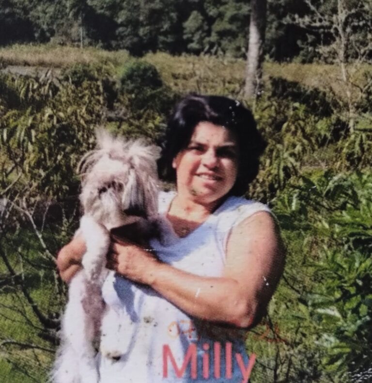 Imagem do WhatsApp de 2025-12-01 à(s) 18.27.24_4673a13f