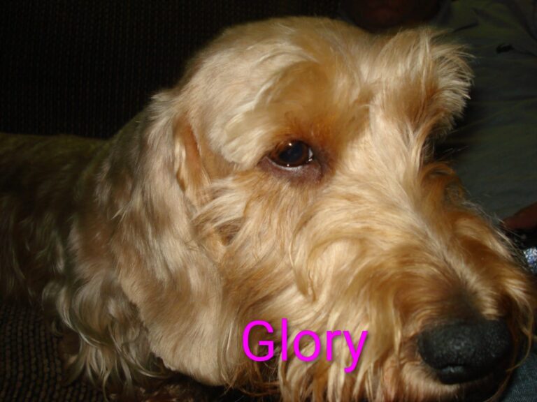 Imagem do WhatsApp de 2025-12-01 à(s) 18.32.16_a128434b