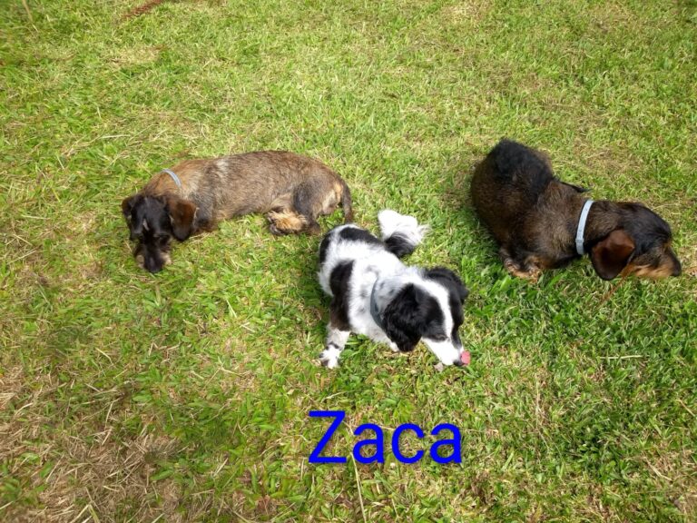 Imagem do WhatsApp de 2025-12-01 à(s) 18.36.47_d99a672e