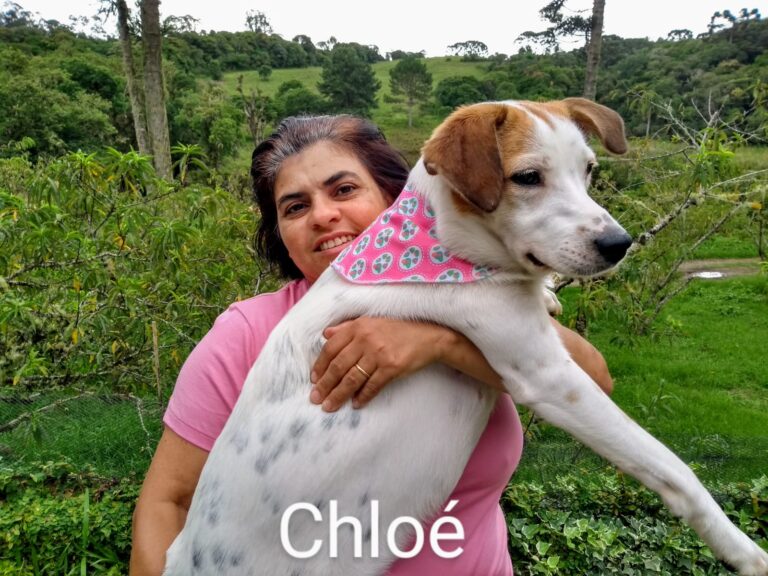 Imagem do WhatsApp de 2025-12-01 à(s) 18.38.41_3efe8cf6