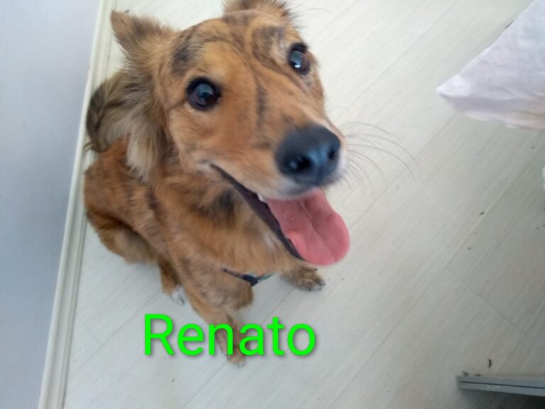 Imagem do WhatsApp de 2025-12-01 à(s) 18.40.32_d50d3bcd