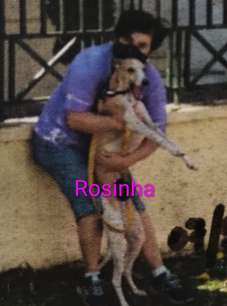 Imagem do WhatsApp de 2025-12-01 à(s) 18.43.20_aa3e83b1