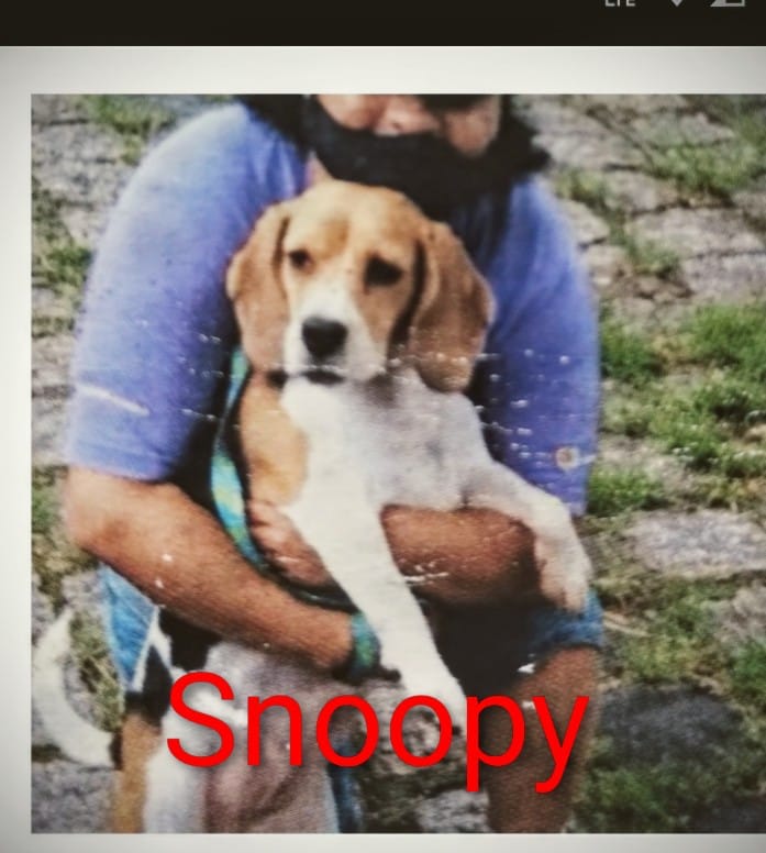 Imagem do WhatsApp de 2025-12-01 à(s) 18.45.45_71cae3ea