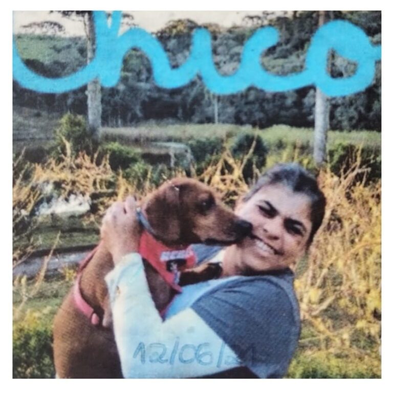 Imagem do WhatsApp de 2025-12-01 à(s) 18.46.59_688f485a