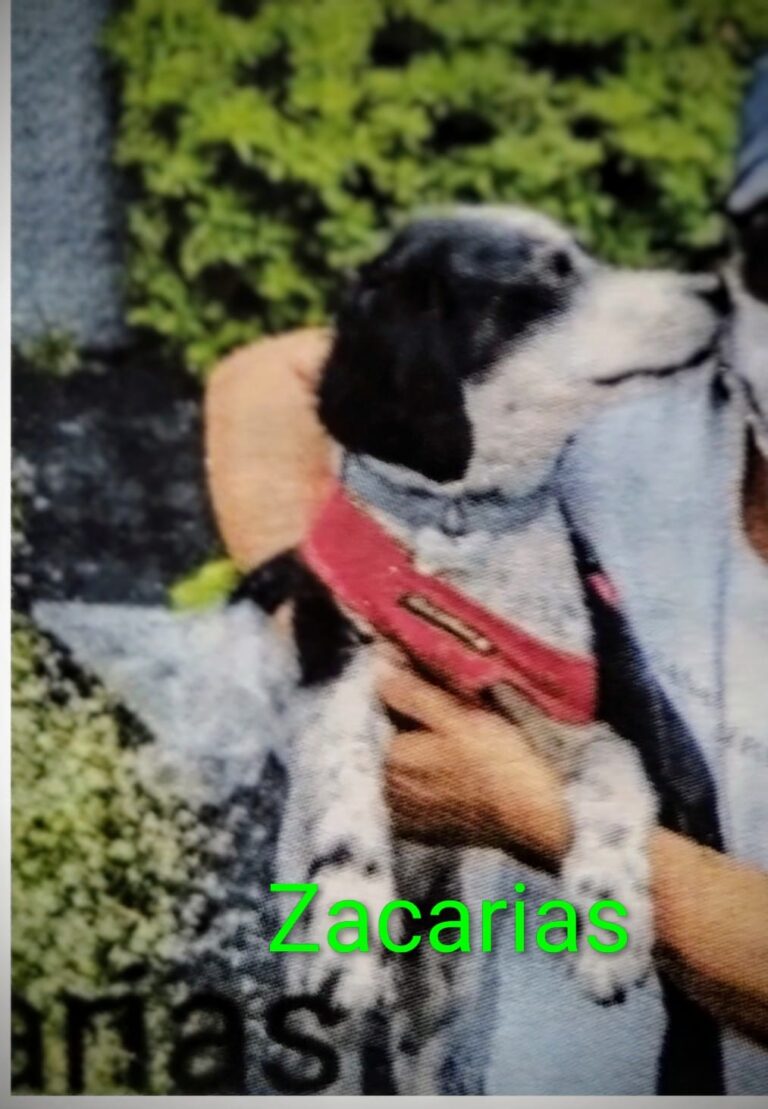 Imagem do WhatsApp de 2025-12-01 à(s) 18.48.09_a7ce4014