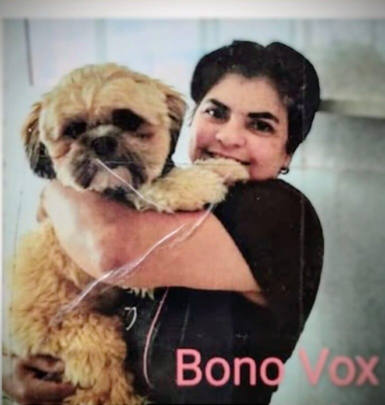 Imagem do WhatsApp de 2025-12-01 à(s) 18.50.18_57beeac1