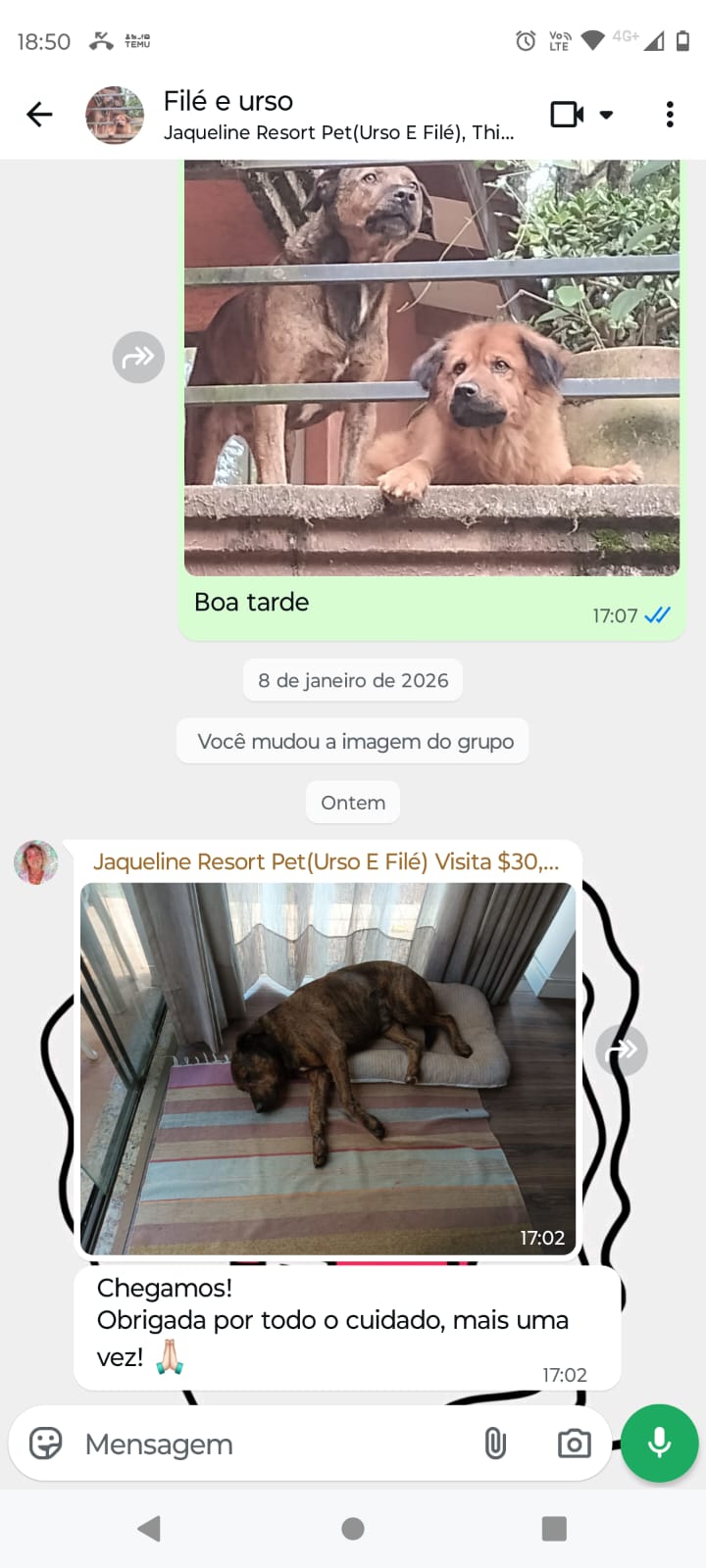 WhatsApp Image 2026-01-26 at 18.50.41